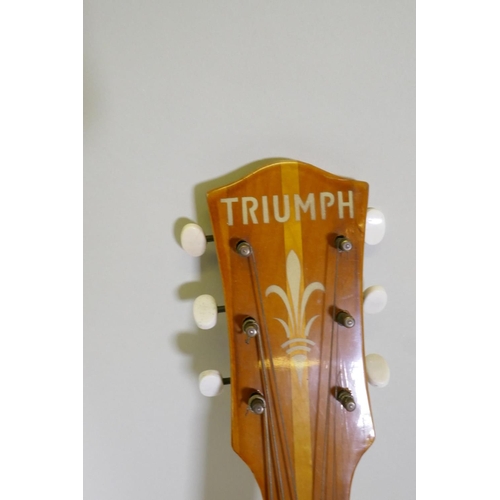 100 - A Triumph acoustic guitar and soft case