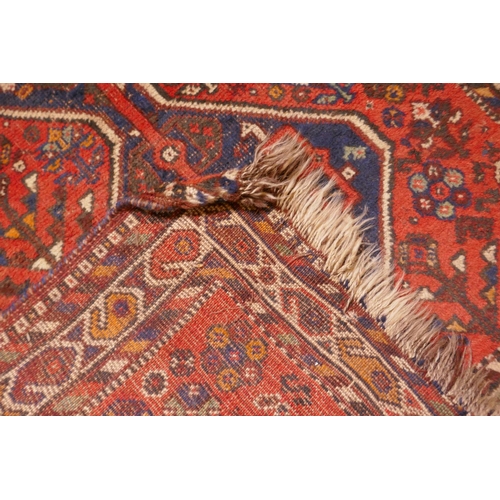 1040 - An antique Persian wool rug, with twin blue ground medallions on a tomato field, 124 x 92cm