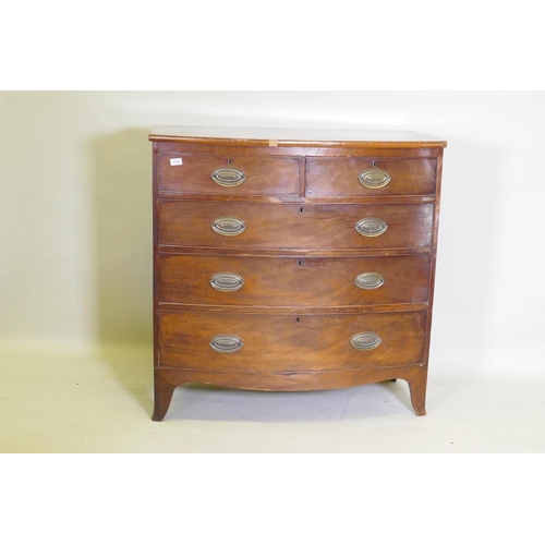 1059 - A Regency mahogany bow front chest of two over three drawers, with cockbeaded edges and brass plate ... 