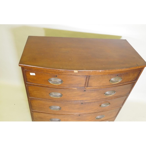 1059 - A Regency mahogany bow front chest of two over three drawers, with cockbeaded edges and brass plate ... 