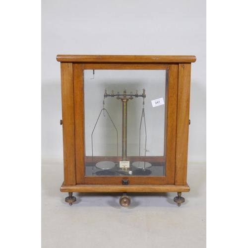 247 - A set of balance scales in a glazed wood cabinet, 43 x 30 x 50cm