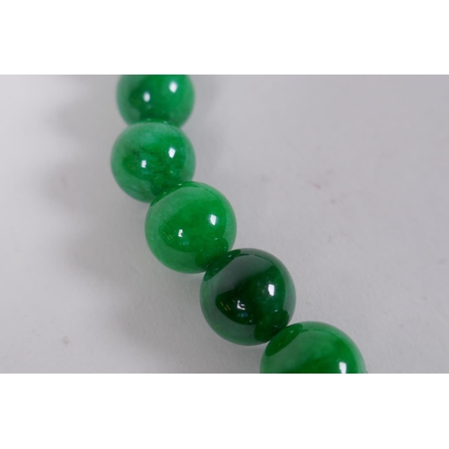 620 - A Chinese apple green hardstone bead necklace, 44cm long