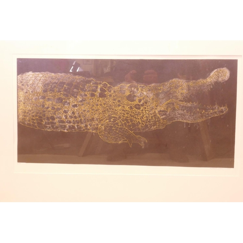 829 - Klaudio Vidal, engraving, crocodile, artist's proof, signed, 74 x 41cm