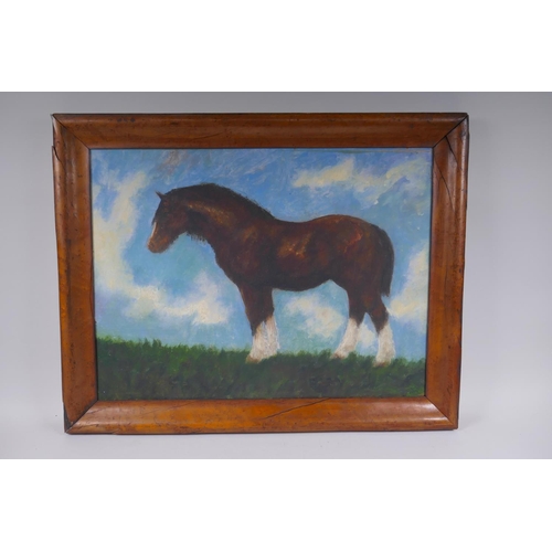 833 - Study of a shire horse, oil on board in a maple wood frame, 43 x 58cm