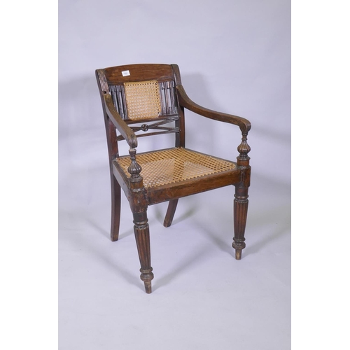 1021 - A C19th Anglo Indian style/Zanzibar hardwood elbow chair, with caned seat and back, reeded arms, rai... 