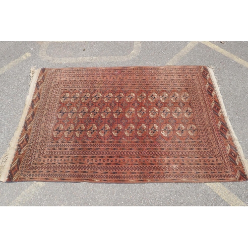 1083 - An antique wool terracotta ground bokhara carpet, 148 x 226cm, AF