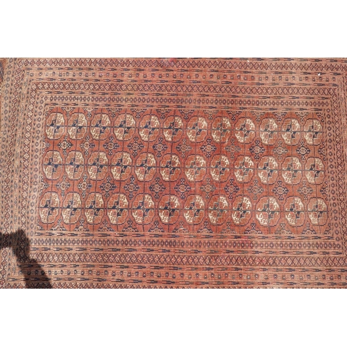 1083 - An antique wool terracotta ground bokhara carpet, 148 x 226cm, AF