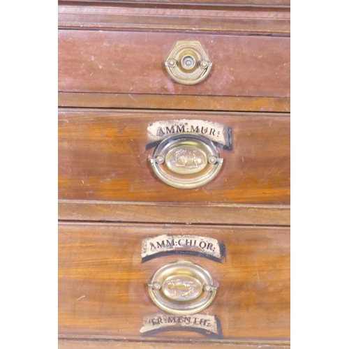 1105 - A C19th mahogany five drawer chest, with brass plate handles and painted decoration, raised on ogee ... 