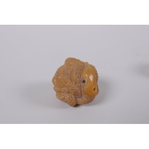 51 - Five Japanese carved tagua nut netsuke in the form of various animals, 3cm diameter