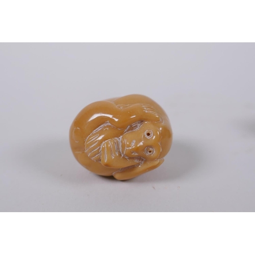 51 - Five Japanese carved tagua nut netsuke in the form of various animals, 3cm diameter