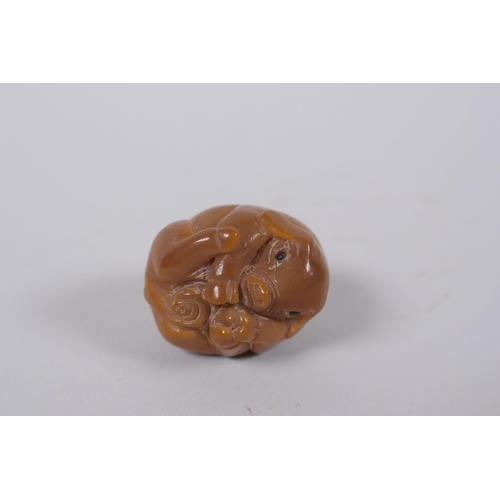 51 - Five Japanese carved tagua nut netsuke in the form of various animals, 3cm diameter