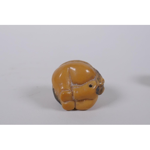 51 - Five Japanese carved tagua nut netsuke in the form of various animals, 3cm diameter