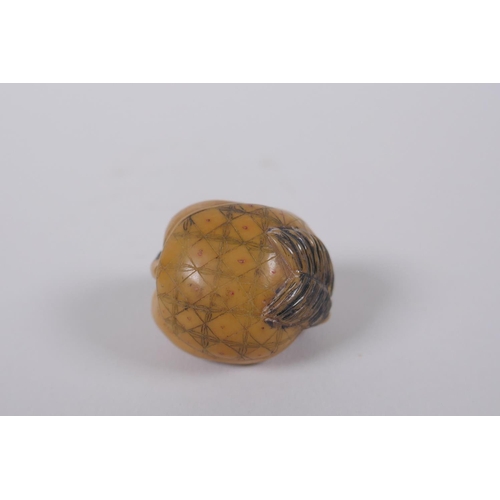 51 - Five Japanese carved tagua nut netsuke in the form of various animals, 3cm diameter