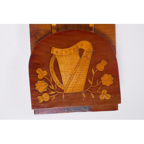 1 - A C19th Irish Kilarney satinwood inlaid yew wood book slide, decorated with harps and clover