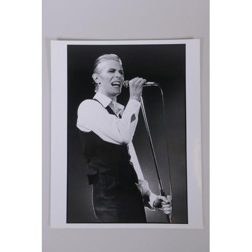 75 - A collection of five black and white press photographs of David Bowie circa 1976, including one by M... 