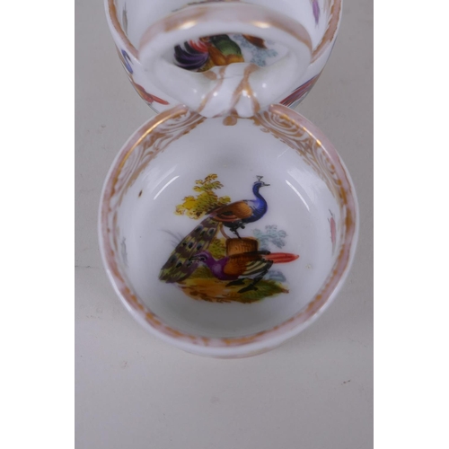 10 - A C19th Meissen porcelain double salt with loop handle and hand painted bird decoration, mark to bas... 