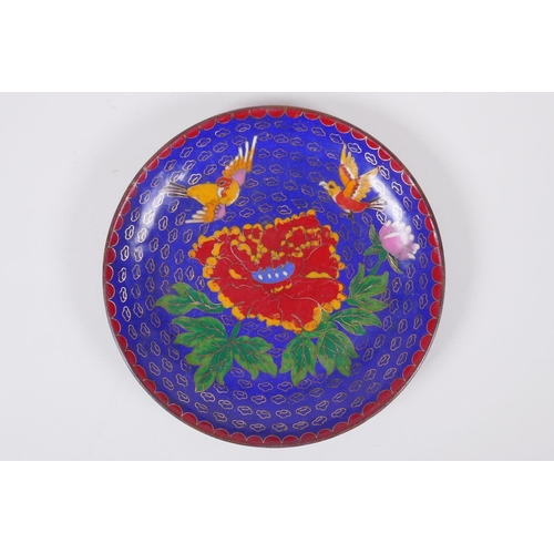 118 - A Chinese blue ground cloisonne dish decorated with birds and flowers, 18cmn diameter