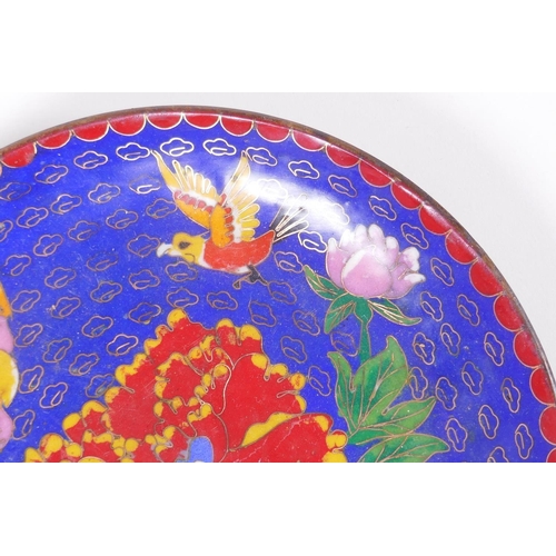 118 - A Chinese blue ground cloisonne dish decorated with birds and flowers, 18cmn diameter