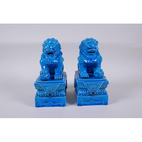 159 - A pair of Chinese turquoise glazed porcelain temple lions, impressed marks to base, 21cm high