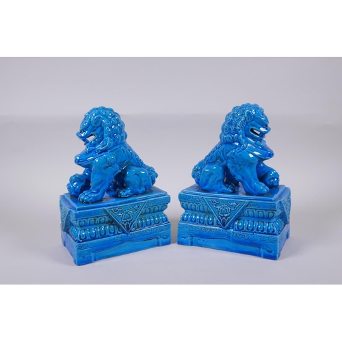 159 - A pair of Chinese turquoise glazed porcelain temple lions, impressed marks to base, 21cm high