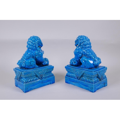 159 - A pair of Chinese turquoise glazed porcelain temple lions, impressed marks to base, 21cm high