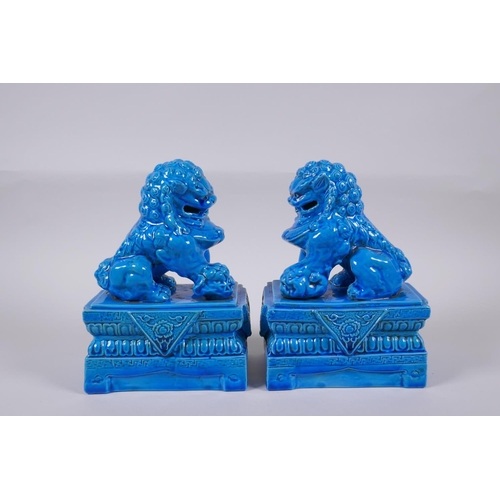 159 - A pair of Chinese turquoise glazed porcelain temple lions, impressed marks to base, 21cm high