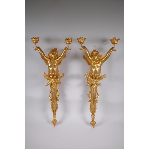 17 - A pair of ormolu two branch wall sconces in the form of a winged putti, 70cm x 30cm wide