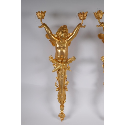 17 - A pair of ormolu two branch wall sconces in the form of a winged putti, 70cm x 30cm wide