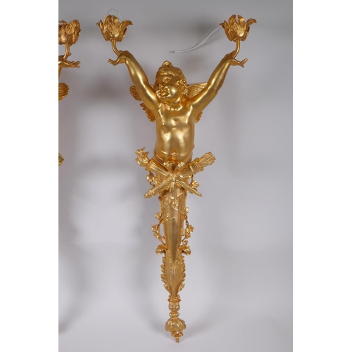 17 - A pair of ormolu two branch wall sconces in the form of a winged putti, 70cm x 30cm wide