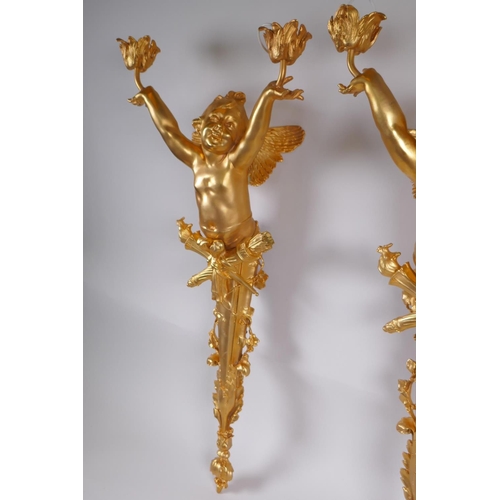 17 - A pair of ormolu two branch wall sconces in the form of a winged putti, 70cm x 30cm wide