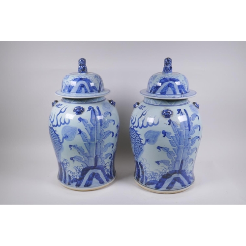 347 - A pair of Chinese blue and white porcelain jars and covers with lion mask, kylin and Fo-dog decorati... 