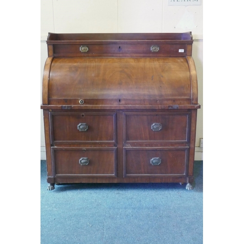 1085 - A C19th mahogany cylinder bureau with fold down work surface over four drawers, raised on brass paw ... 