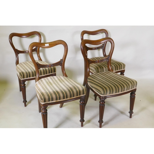 1106 - Set of four C19th mahogany kidney back chairs raised on turned reeded supports, stamped James Winter... 