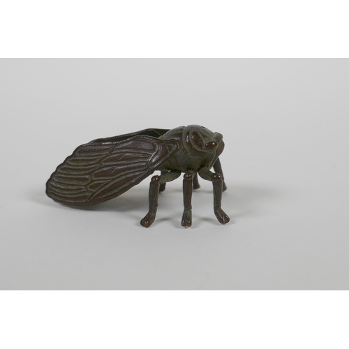 126 - A Japanese style bronze okimono cicada, 5cm long