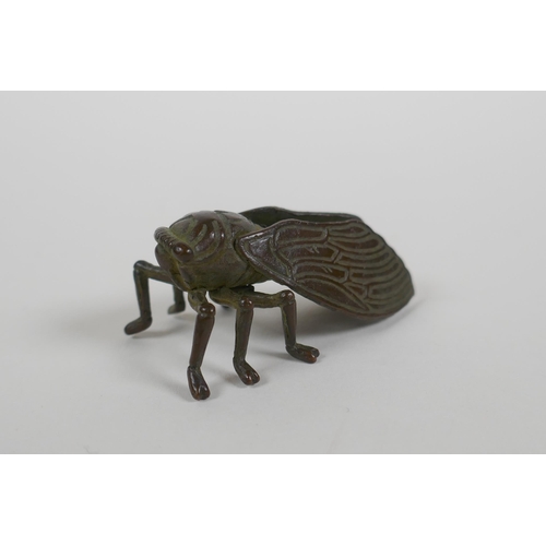 126 - A Japanese style bronze okimono cicada, 5cm long