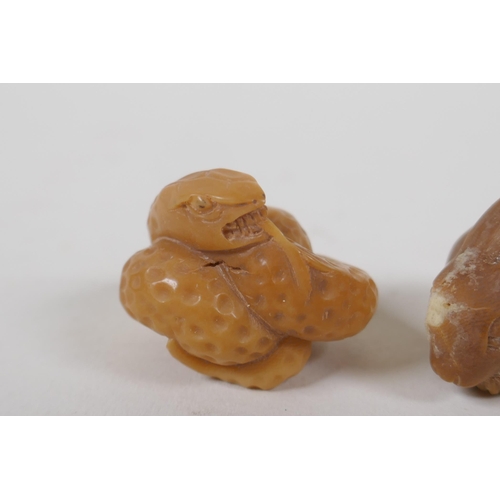 155 - Five Japanese carved tagua nut netsuke in the form of rabbits, snakes and rats, 4cm