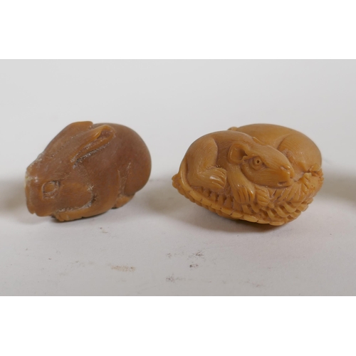 155 - Five Japanese carved tagua nut netsuke in the form of rabbits, snakes and rats, 4cm