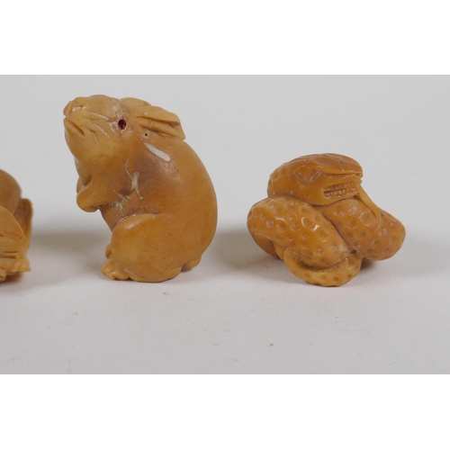 155 - Five Japanese carved tagua nut netsuke in the form of rabbits, snakes and rats, 4cm