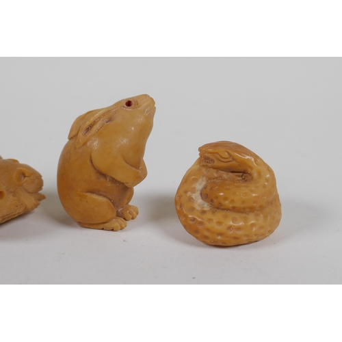 155 - Five Japanese carved tagua nut netsuke in the form of rabbits, snakes and rats, 4cm