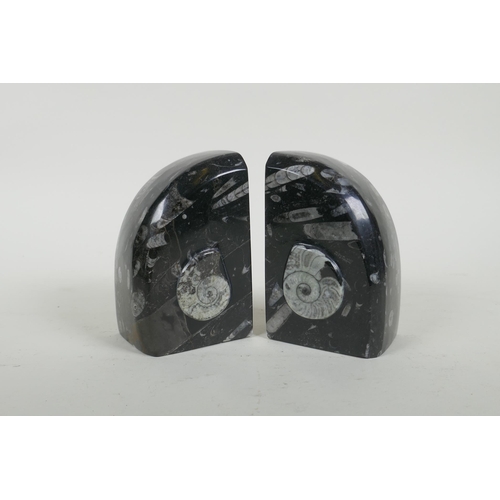 293 - A pair of fossilled ammonite black marble bookends, 12cm high