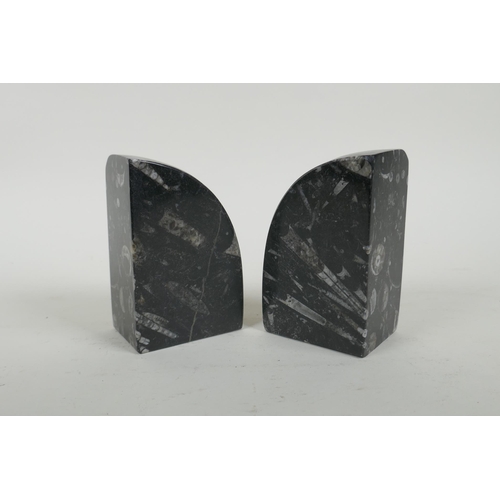 293 - A pair of fossilled ammonite black marble bookends, 12cm high