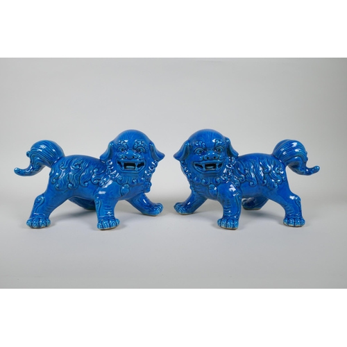 73 - A pair of Chinese turquoise glazed porcelain Fo-dogs, 26cm long