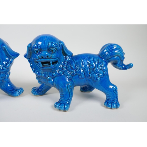 73 - A pair of Chinese turquoise glazed porcelain Fo-dogs, 26cm long