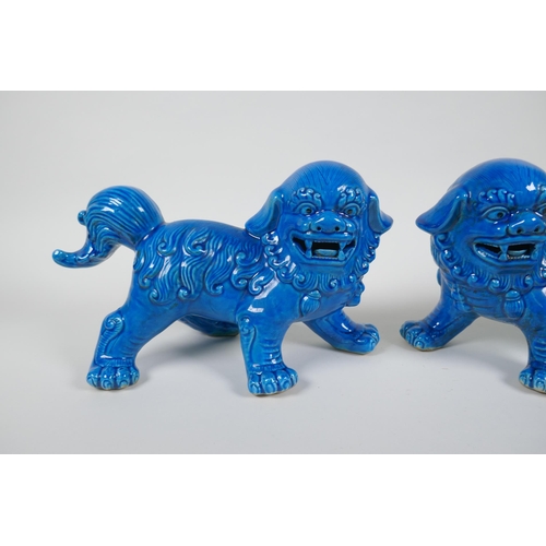 73 - A pair of Chinese turquoise glazed porcelain Fo-dogs, 26cm long