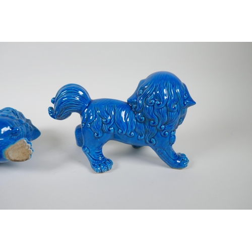 73 - A pair of Chinese turquoise glazed porcelain Fo-dogs, 26cm long