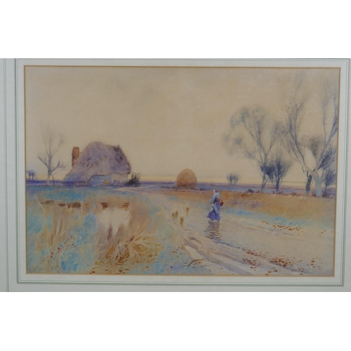 815 - Albert Haselgrave, (British), figure on a rural road, Victorian watercolour, signed, 49 x 33cm