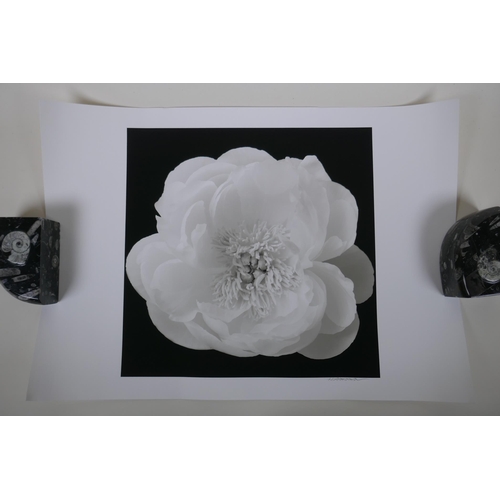 855 - After Hiroyuki Arakawa, (Japanese, b.1951), The Unfolding, photographic print from his flowers serie... 