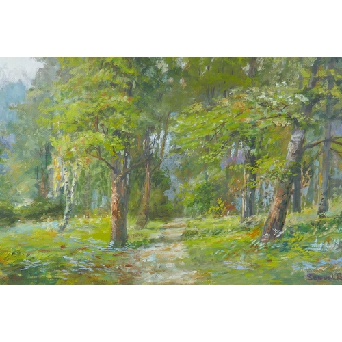 866 - Samuel Dowell, (British, 1874-1939), two woodland scenes, oils on board, 62 x 38cm largest