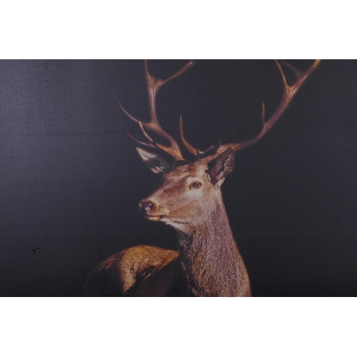 867 - Five framed hunting prints in oak frames, and a photographic print on canvas of a stag, largest 70 x... 