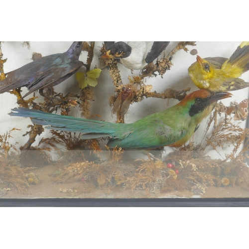 91 - A Victorian glass cased taxidermy group of rare exotic birds, including bee eater, glossy starling, ... 